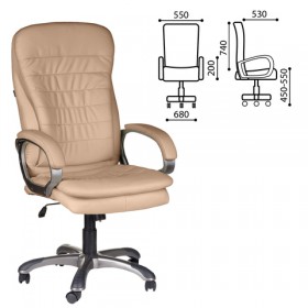 Кресло офисное BRABIX Omega EX-589 в Сургуте - surgut.katalogmebeli.com | фото